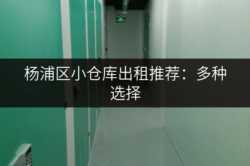 杨浦区小仓库出租推荐：多种选择，总有一款适合您