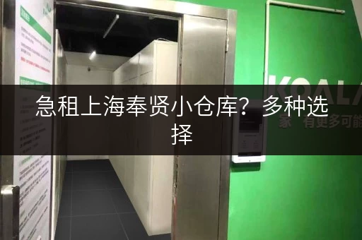 急租上海奉贤小仓库？多种选择，满足您的仓储需求