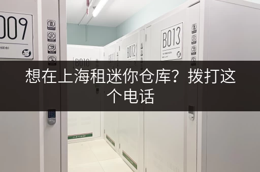 想在上海租迷你仓库？拨打这个电话，立即咨询！
