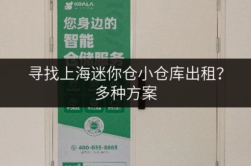 寻找上海迷你仓小仓库出租？多种方案，灵活选择！