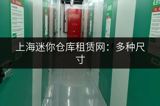 上海迷你仓库租赁网：多种尺寸，任你挑选