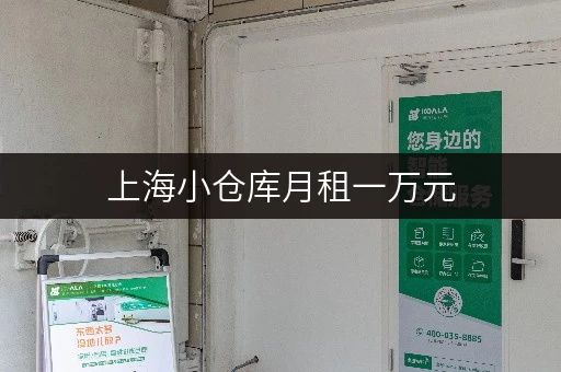 上海小仓库月租一万元，有哪些选择？面积和位置如何？