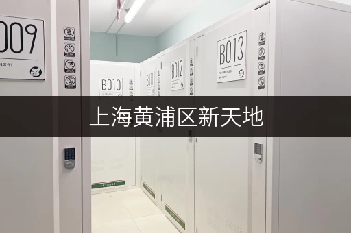 上海黄浦区新天地，优质小仓库租赁，多种面积任您挑选！