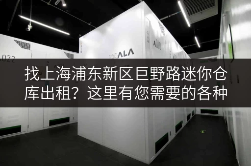 找上海浦东新区巨野路迷你仓库出租？这里有您需要的各种尺寸