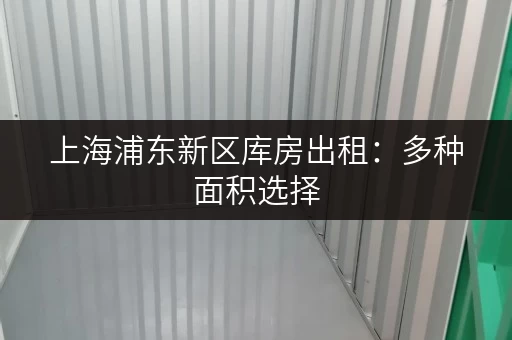 上海浦东新区库房出租：多种面积选择，满足您的仓储需求！