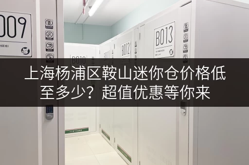 上海杨浦区鞍山迷你仓价格低至多少？超值优惠等你来