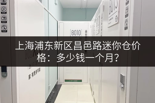 上海浦东新区昌邑路迷你仓价格：多少钱一个月？