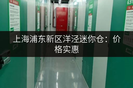 上海浦东新区洋泾迷你仓：价格实惠，安全可靠的仓储服务！