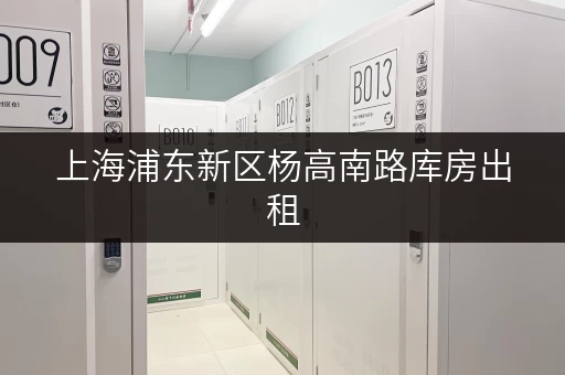 上海浦东新区杨高南路库房出租，价格面议，面积灵活选择