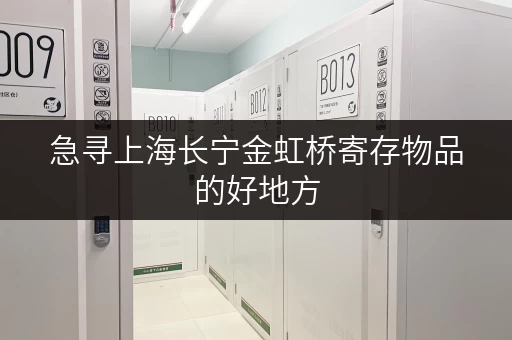 急寻上海长宁金虹桥寄存物品的好地方