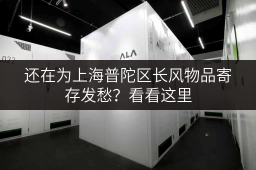 还在为上海普陀区长风物品寄存发愁？看看这里