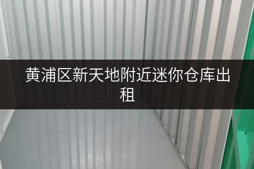 黄浦区新天地附近迷你仓库出租，安全可靠，方便快捷