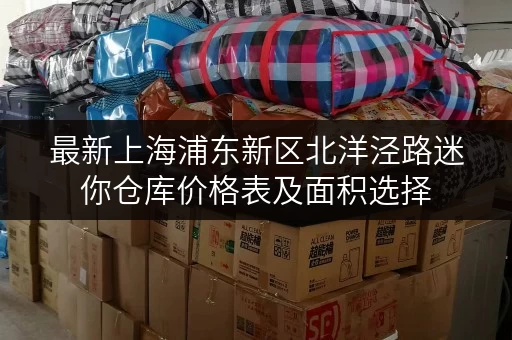 最新上海浦东新区北洋泾路迷你仓库价格表及面积选择