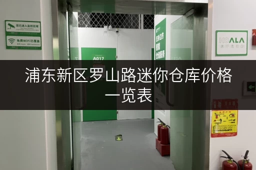 浦东新区罗山路迷你仓库价格一览表，哪家最便宜？