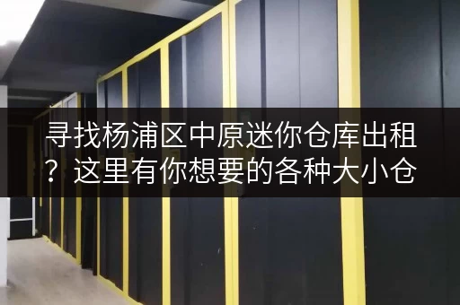 寻找杨浦区中原迷你仓库出租？这里有你想要的各种大小仓库