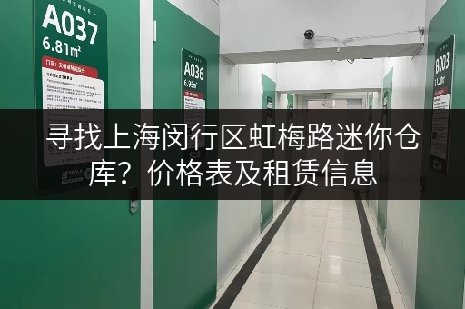 寻找上海闵行区虹梅路迷你仓库？价格表及租赁信息