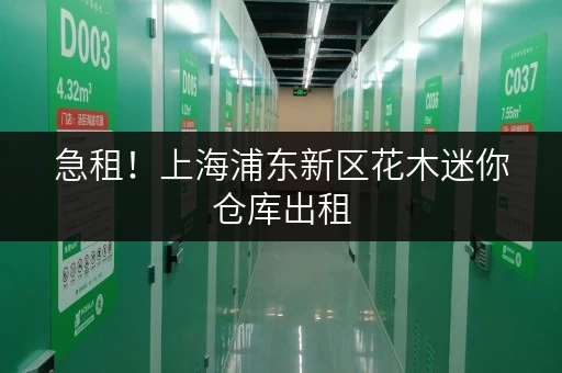 急租！上海浦东新区花木迷你仓库出租，位置优越，交通便利