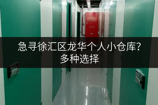 急寻徐汇区龙华个人小仓库?多种选择,满足您的存储需求! 急寻徐汇区龙华个人小仓库?多种选择,满足您的存储需求!