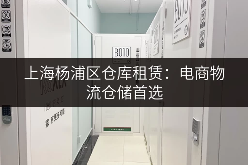 上海杨浦区仓库租赁：电商物流仓储首选