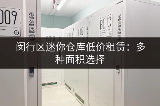 闵行区迷你仓库低价租赁：多种面积选择，适合个人和企业