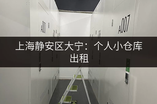 上海静安区大宁:个人小仓库出租,多种户型任您选择 上海静安区大宁:个人小仓库出租,多种户型任您选择