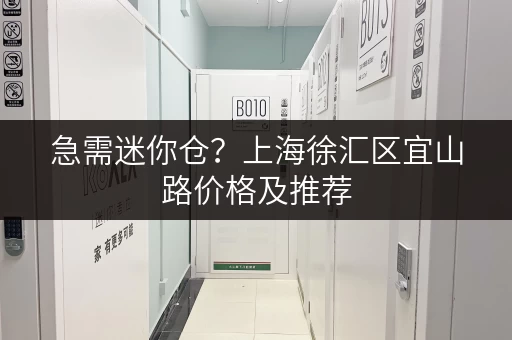 急需迷你仓？上海徐汇区宜山路价格及推荐