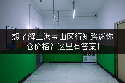 想了解上海宝山区行知路迷你仓价格？这里有答案！