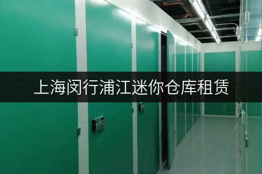 上海闵行浦江迷你仓库租赁，日租月租，灵活方便！