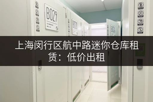 上海闵行区航中路迷你仓库租赁：低价出租，灵活租赁