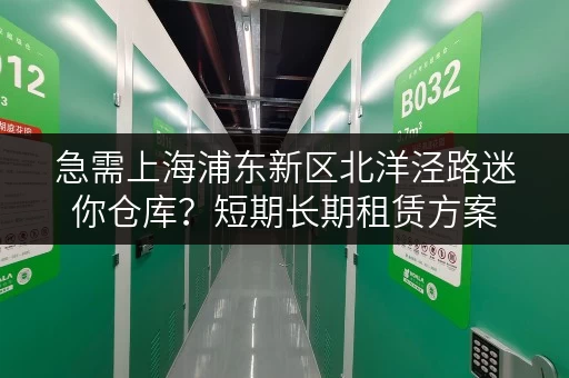 急需上海浦东新区北洋泾路迷你仓库？短期长期租赁方案