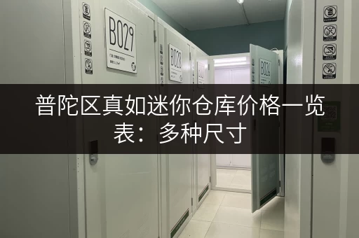 普陀区真如迷你仓库价格一览表：多种尺寸，灵活租赁，满足您的存储需求！