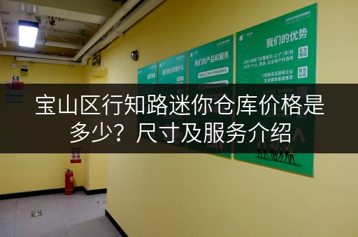 宝山区行知路迷你仓库价格是多少？尺寸及服务介绍