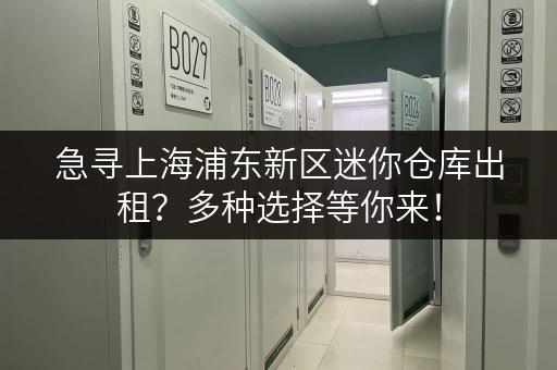 急寻上海浦东新区迷你仓库出租？多种选择等你来！