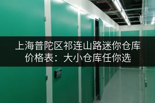 上海普陀区祁连山路迷你仓库价格表：大小仓库任你选