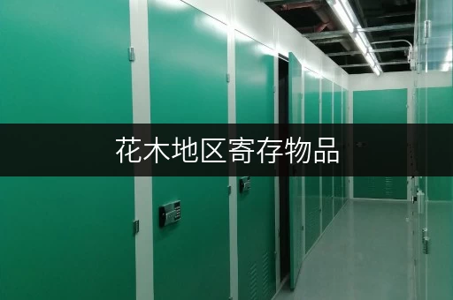 花木地区寄存物品，浦东新区有哪些选择？