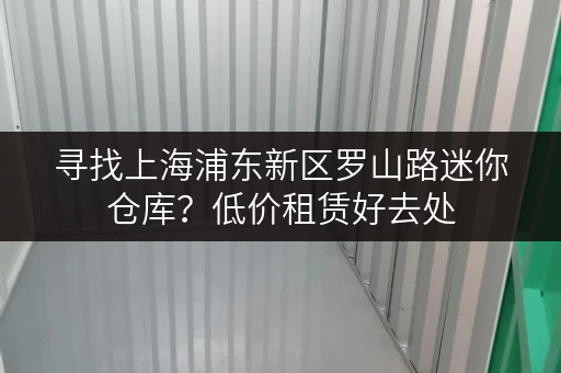 寻找上海浦东新区罗山路迷你仓库？低价租赁好去处