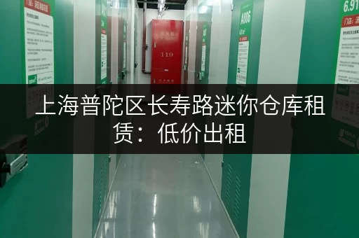 上海普陀区长寿路迷你仓库租赁：低价出租，灵活租期