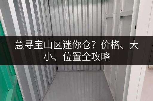 急寻宝山区迷你仓？价格、大小、位置全攻略
