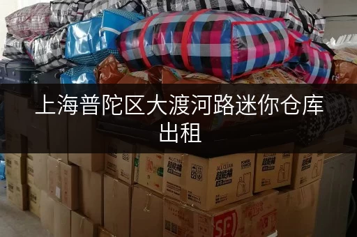 上海普陀区大渡河路迷你仓库出租，安全可靠，拎包入住！