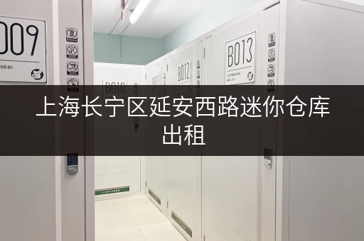 上海长宁区延安西路迷你仓库出租,价格面议,安全可靠! 上海长宁区延安西路迷你仓库出租,价格面议,安全可靠!
