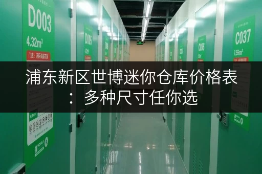 浦东新区世博迷你仓库价格表：多种尺寸任你选