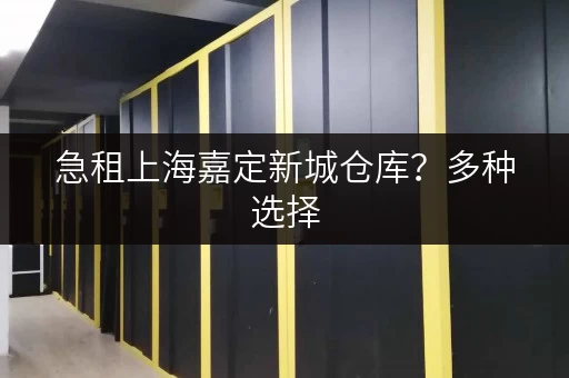 急租上海嘉定新城仓库？多种选择，满足您的仓储需求
