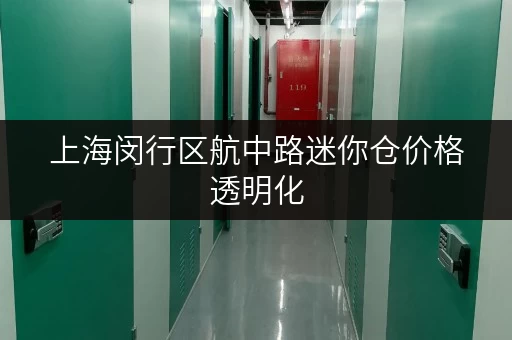 上海闵行区航中路迷你仓价格透明化，租金是多少？