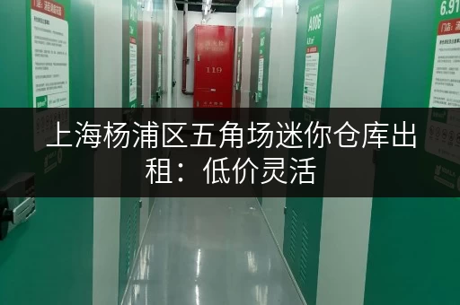 上海杨浦区五角场迷你仓库出租：低价灵活，适合电商创业者