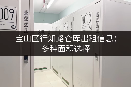 宝山区行知路仓库出租信息：多种面积选择，灵活租赁！