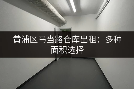 黄浦区马当路仓库出租：多种面积选择，安全可靠