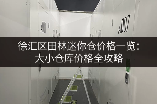 徐汇区田林迷你仓价格一览：大小仓库价格全攻略