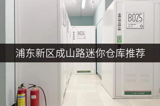 浦东新区成山路迷你仓库推荐，空间灵活，安全可靠！