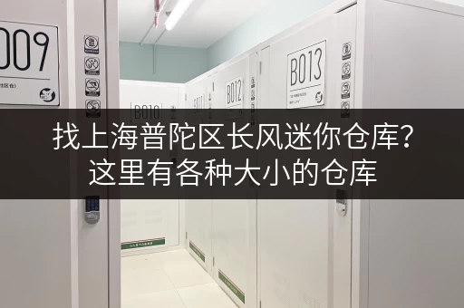 找上海普陀区长风迷你仓库？这里有各种大小的仓库