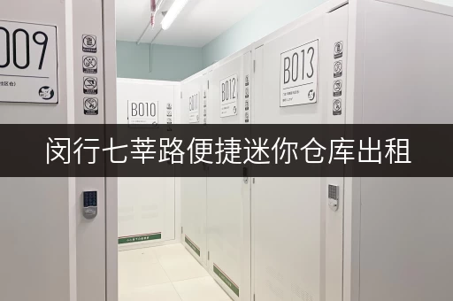 闵行七莘路便捷迷你仓库出租，适合电商个人使用